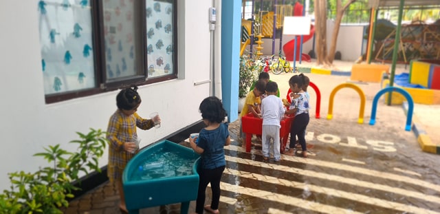 Dancing Dolphins (2-3 Years)