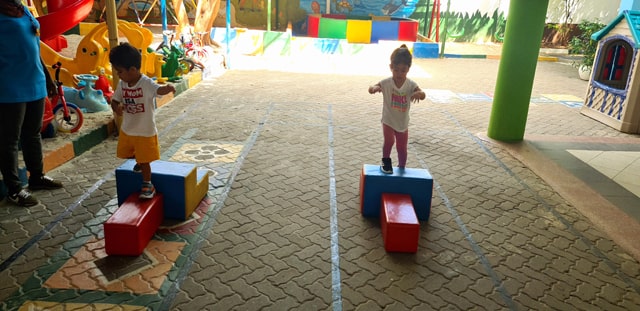 Dancing Dolphins (2-3 Years)